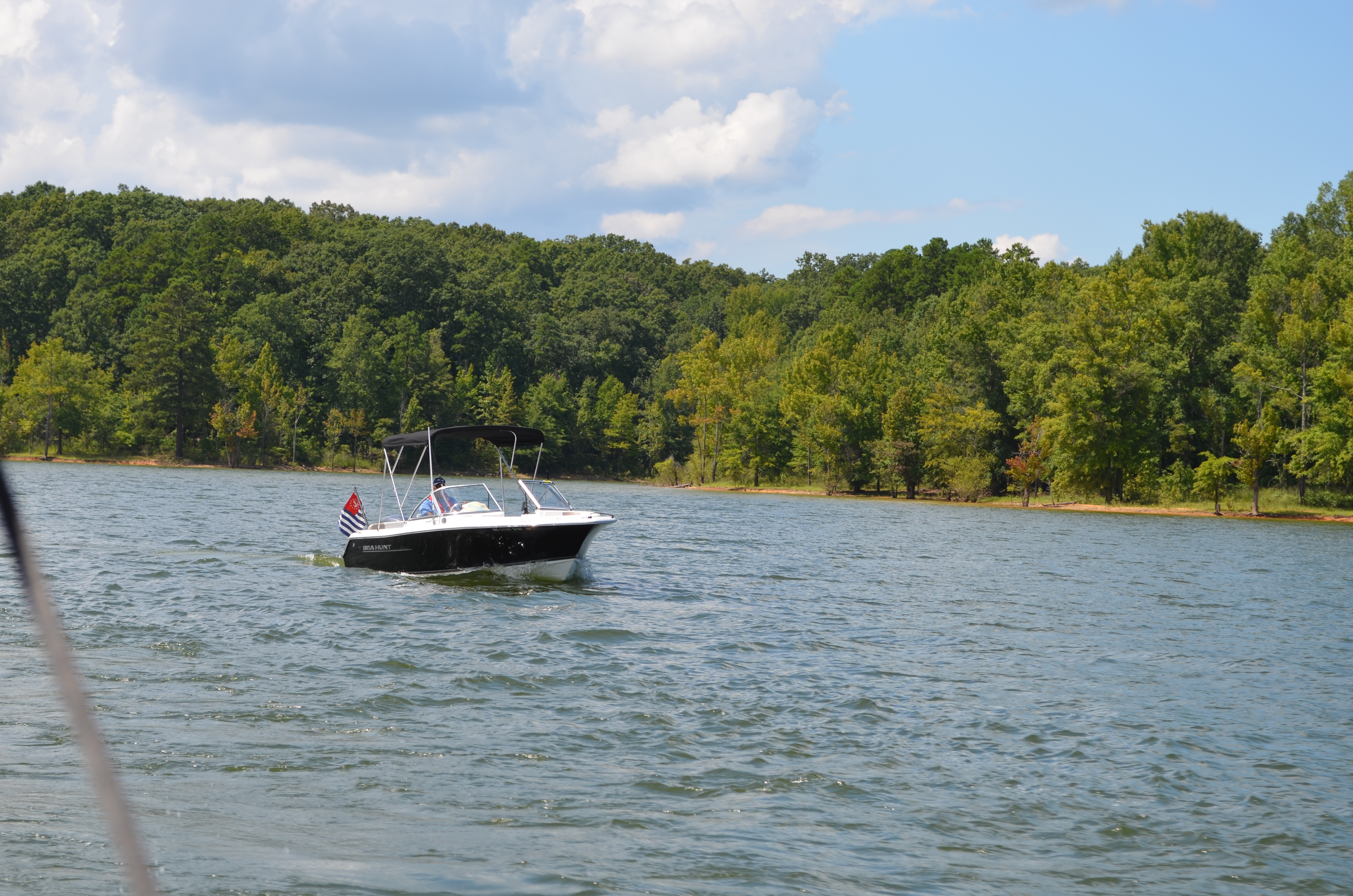 ./2016/15 - Kerr Lake 2/DSC_0356.JPG